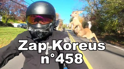 Zap Koreus n°458