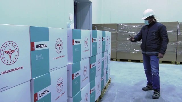 Yerli aşı TURKOVAC Halk Sağlığı depolarına ulaştı
