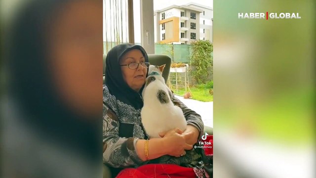 Sahibinin kedisiyle diyaloğu izleyenlerin içini ısıttı