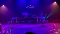 Cirque Bosberg : un numéro avec des boucs