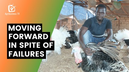 Burkina Faso: Moving forward in spite of failures