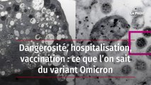 Dangerosité, hospitalisation, vaccination : ce que l’on sait du variant Omicron