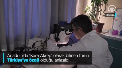 Türkiye kökenli olduğu ortaya çıktı!
