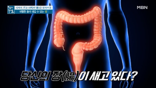 몸속 위험한 틈! 전신 건강 위협하는 '장누수증후군'이란?