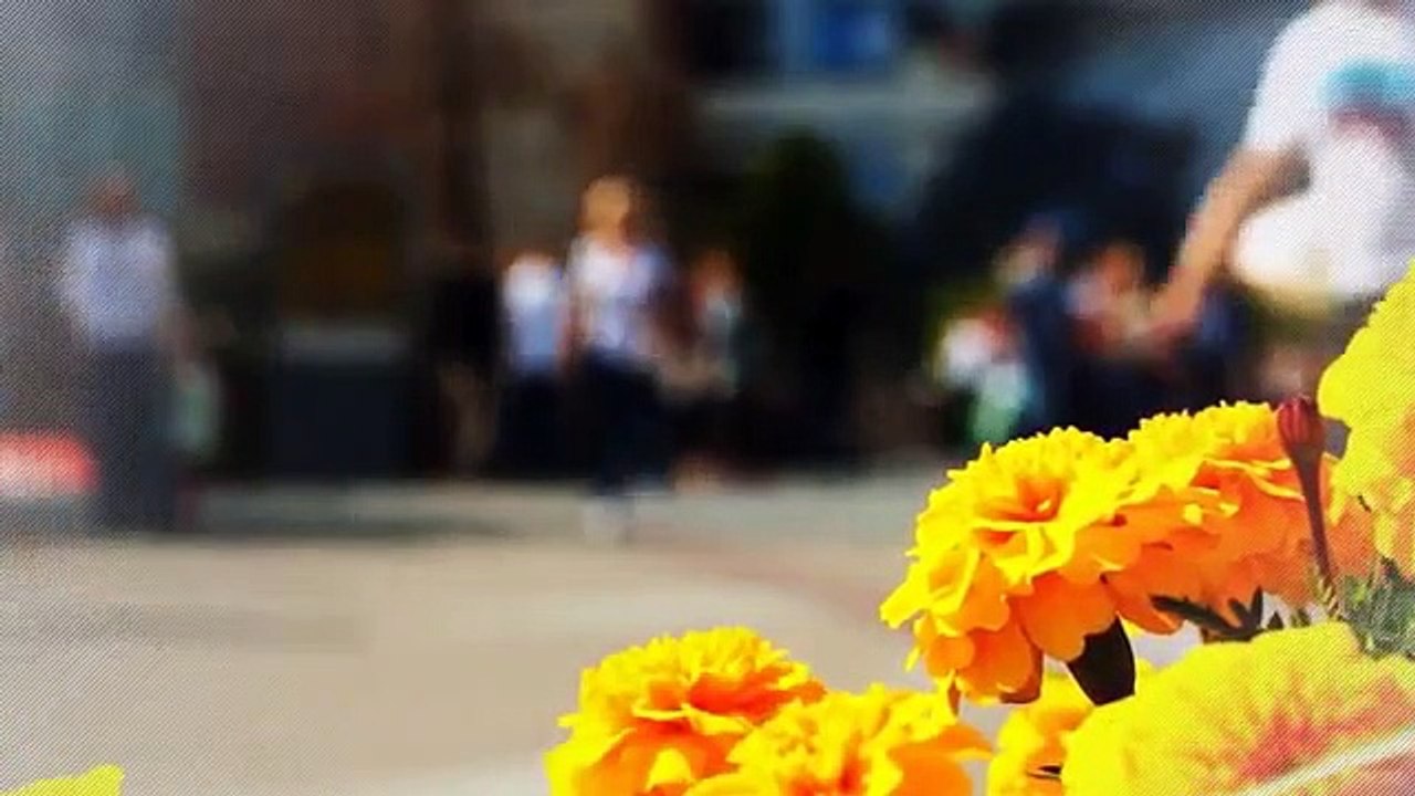 A vendre - Villa - ST CERGUES (74140) - 8 pièces - 240m²