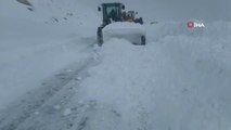 Van-Bahçesaray yolu yeniden ulaşıma açıldı