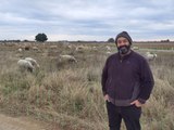 Vauvert : transhumance avec Jimmy Félon