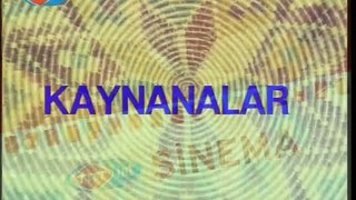 KAYNANALAR 1