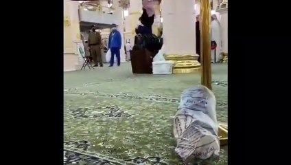 شاب يحمل والده على كتفيه بالمسجد النبوي: فيديو سيخطف قلبك