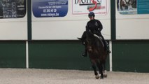 Les chevaux de la police fédérale vont s'installer dans un haras de 15 hectares à Wisbecq