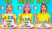 BIG VS MEDIUM VS SMALL PLATE Eating Giant VS Tiny Food For 24 HRS Challenge by 123 GO FOOD