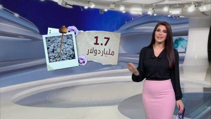 الساعة 60 | طالبان نقضت وعدها.. تركت الخشخاش خوفا من زارعيه..والنتيجة "أفيون أوفر حول العالم"