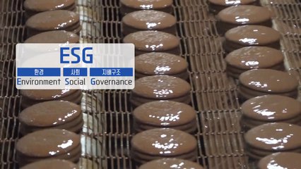 코로나에 'ESG쓰나미'까지...기업 생존의 '이중고 파고' / YTN