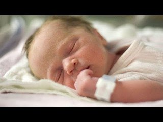 تفاصيل مقترح القانون الجديد "رخصة الإنجاب"