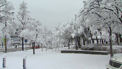 '성탄절' 강원 영동 50cm 폭설..."도로 결빙 주의" / YTN
