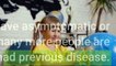 Coronavirus FAQ Remind me how do you define mild moderate and severe