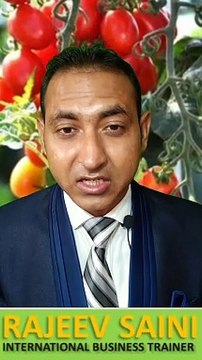 Top importer countries of tomatoes