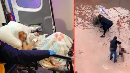 Bakan Koca istedi! Pitbulun parçaladığı Asiye artık ilk yüz naklini yapan profesöre emanet