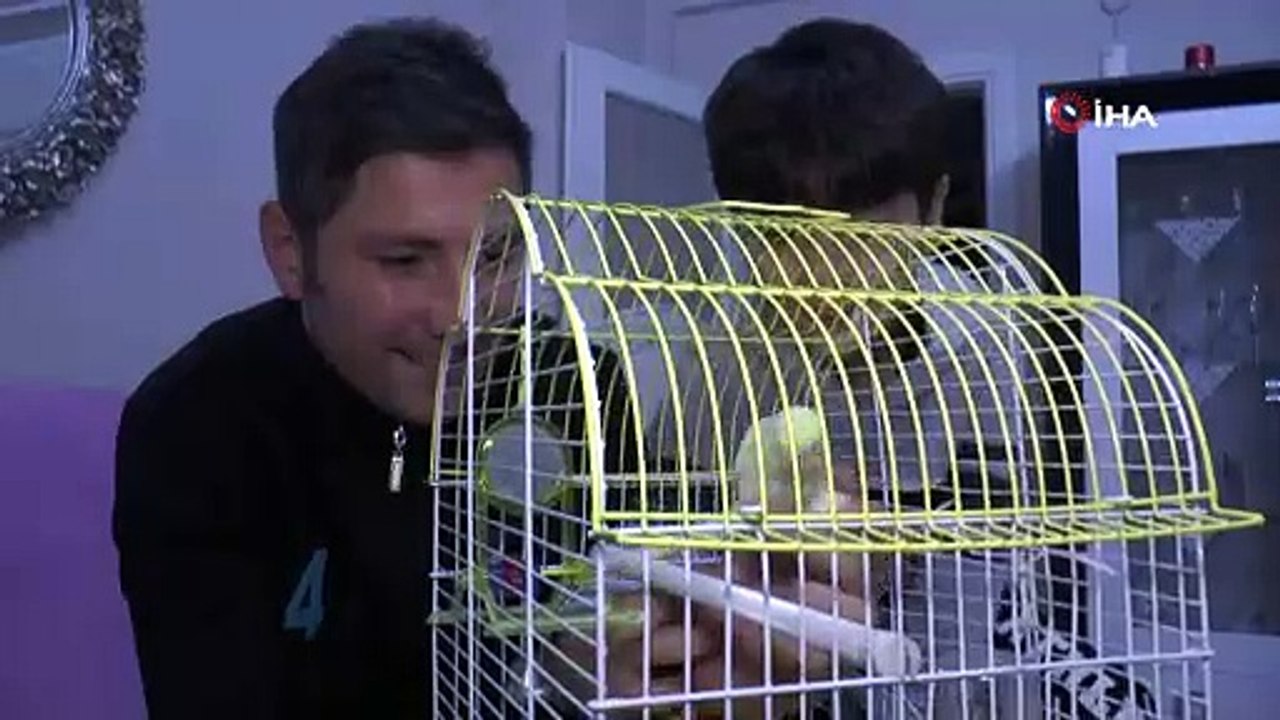 Kuşuna dakikalarca kalp masajı yapıp 2 kez hayata döndürdü