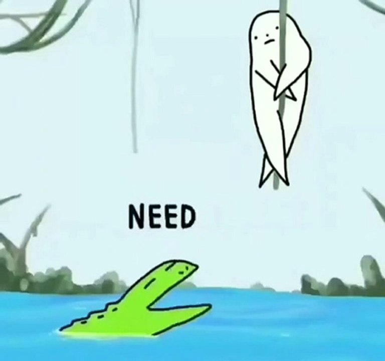 Crocodile f*ck