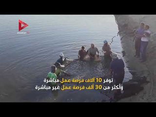 معلومات عن بركة غليون ..أكبر مشروع استزراع سمكي بالشرق الأوسط