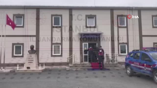 Jandarma'dan tarihi eser operasyonu... Bizans dönemine ait 200 tarihi sikke ele geçirildi