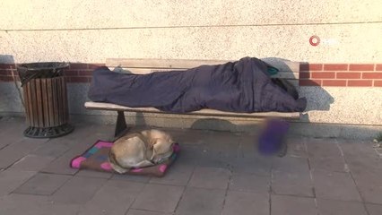 Ankara'da yürek ısıtan görüntü... Sokakta yatan adam battaniyesini sokak köpeğinin altına serdi