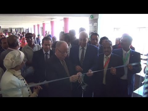 وزير الثقافة ومحافظ أسوان يفتتحان ملتقى الثقافات الشعبية في أفريقيا