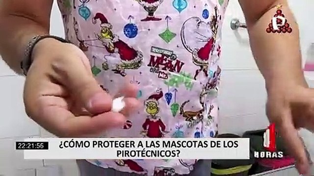 Navidad 2021: ¿Cómo puedo calmar a mi mascota del ruido de los pirotécnicos?