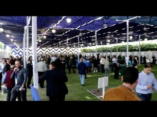 إقبال ضعيف على انتخابات هليوبوليس