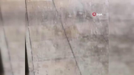 Avustralya'yı dolu yağışı vurdu