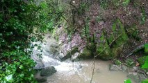 Agua de nuevo por el arroyo Bejarano