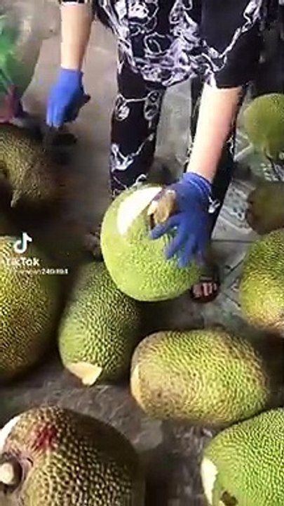 Tiểu thương chỉ cách phân biệt mít bị vô thuốc: Nhìn qua 1 cái, dám chắc 100% chính xác