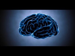 7 عادات مهمة لتحسين عمل العقل