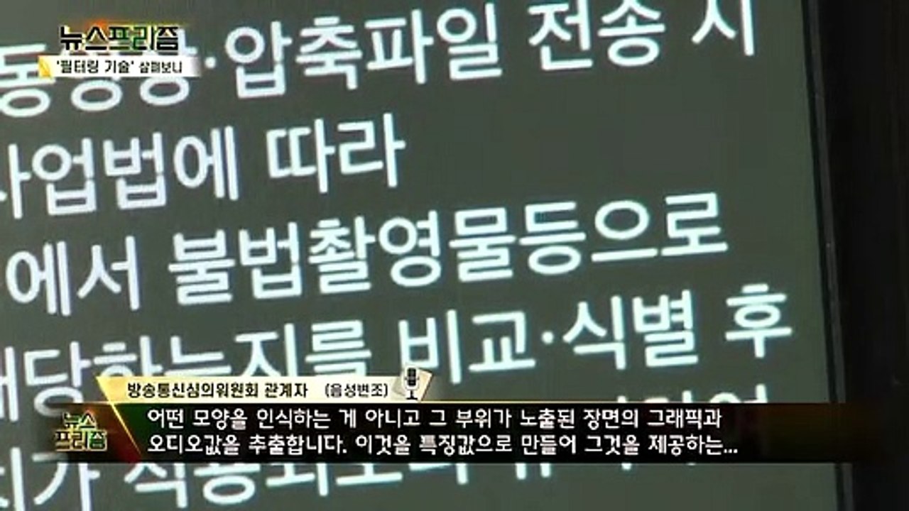 [탐사보도 뉴스프리즘] 과잉 규제 VS 필수 법률 'n번방 방지법' 사실은?