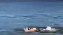 Σάκης Ρουβάς βουτιές