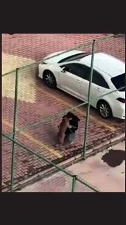 Skandal görüntü kamerada! Minik Asiye'yi parçalayan Pitbull'un sahibi bakın ne yapmış