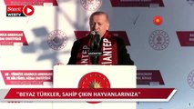 Erdoğan'dan pitbull açıklaması: Beyaz Türkler hayvanlarınıza sahip çıkın