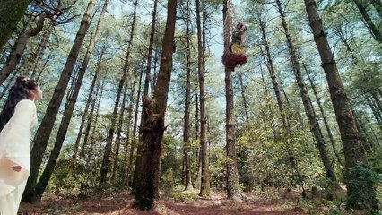 Tân Tuyệt Đại Song Kiêu 2020 tập 34 | Trần Triết Viễn, Hồ Nhất Thiên