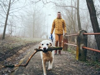 Gegen Übergewicht: So viele Schritte solltest du täglich gehen
