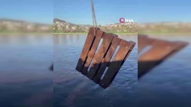 Büyükşehir Belediyesi sokak hayvanları için atık paletlerden kulübe yapıyor