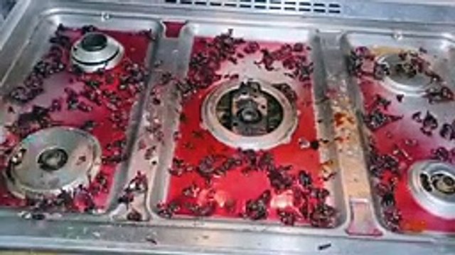 غسلت البوتاجاز بالكركديه والنتيجه مذهلة جديد 2022