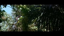 Dinozor Adası - Dinosaur Island Türkçe Dublaj Yabancı Aile Filmi Full Film İzle (2)