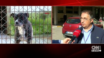 Minik Asiye'nin son durumu nasıl? Tedavisi nasıl devam edecek?