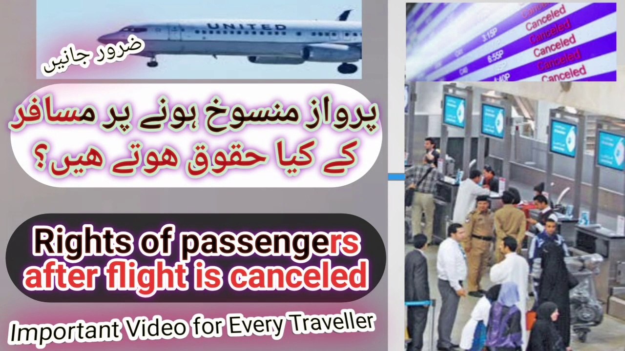 What to Do if Your Flight is Canceled | What Will I Do If Plane Did Not Fly in Time  @A 4 Ashraf MM ​