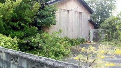 Destruction at the Old Japanese Farm House