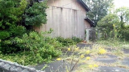 Before & After at the Old Japanese Farm House