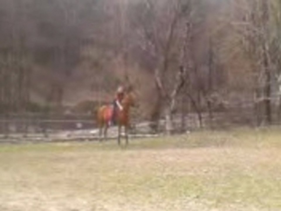 Jojo fais la con avec Mél