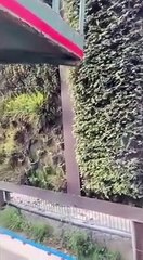 İstanbul'un Ekrem'le imtihanı! Vatandaş isyan etti: Beceremiyorsanız defolup gidin