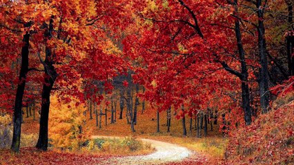 Easy DIY Idea  Space saving  How to make Earring pins jewellery holder #barkhakefundey